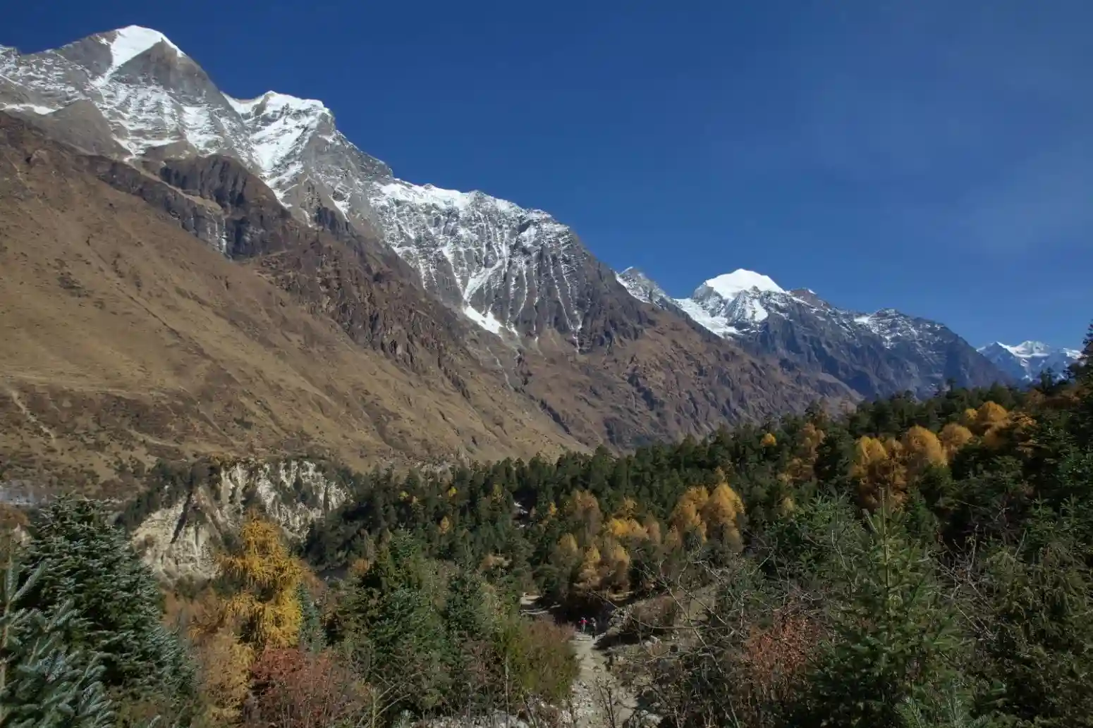 Manaslu Circuit trek difficulty