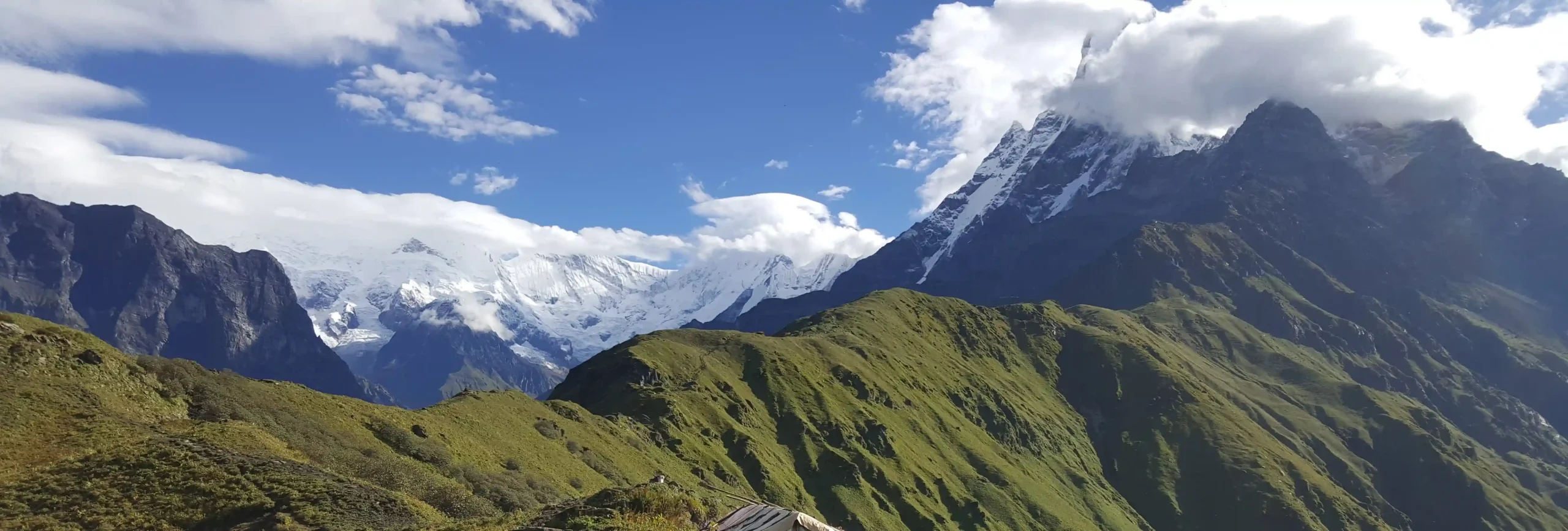 Mardi Himal Trek Mardi Himal Trek